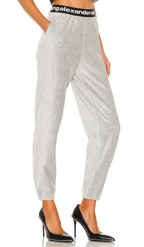 Alexander Wang Stretch Corduroy Pant in Grey
