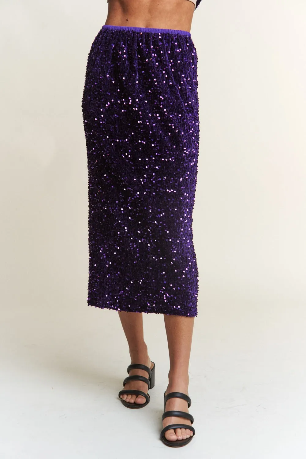 Blue Zone Planet |  J.NNA Sequin Back Slit Midi Skirt